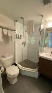 a bathroom with a shower and a toilet and a sink at Amber Hotel in Grand Bend