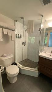 a bathroom with a shower and a toilet and a sink at Amber Hotel in Grand Bend +27 photos