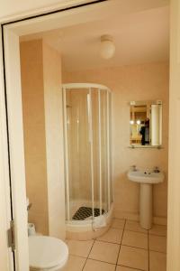 W łazience znajduje się prysznic i umywalka. w obiekcie Arus Grattan w Galway