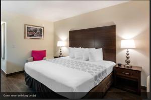 Postel nebo postele na pokoji v ubytování Downtown Hollywood Gardens Inn & Suites