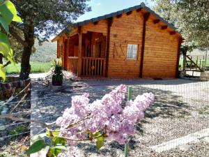 une cabane en rondins avec des fleurs roses devant elle dans l'établissement La casa del estanque, à Olocau del Rey