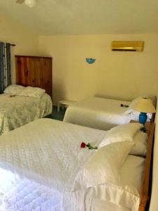 a hotel room with two beds and a lamp at Hotel Playazul in Santa Cruz de Barahona