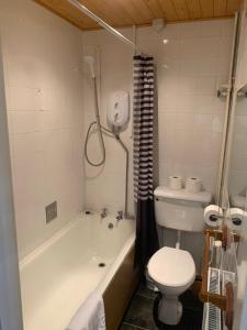 a bathroom with a toilet, sink, tub and shower at Conwy Valley Hotel in Conwy