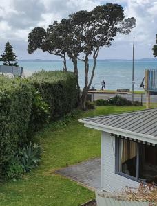 a house with a tree in front of the ocean at Aqua On The Beach in Auckland