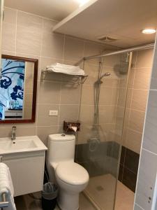 a bathroom with a shower and a toilet and a sink at Shun-yi Business Hotel in Chiayi City