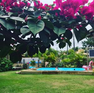 a person swimming in a pool under a tree with pink flowers at Residencial Segundo Piso in Garopaba