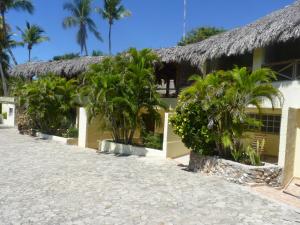 Zahrada ubytování Hotel El Quemaito - Luxury Oceanfront Retreat