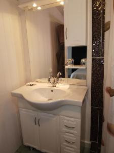 a bathroom with a white sink and a mirror at Les GREVILLEAS in La Plaine des Cafres