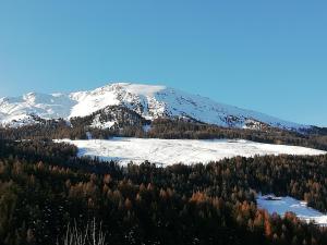 a mountain covered in snow and trees with snow at Appartamento Pila in Pila