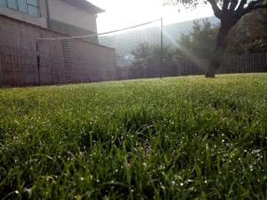 Taman di luar Konak Garavi sokak