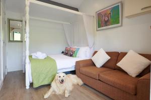 a dog sitting in a living room with a couch at Newlands Farm Stables in Kendal