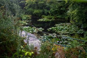 Paesaggio naturale nelle vicinanze dell'ostello