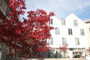 Gallery image of Hotel Engl in Innsbruck