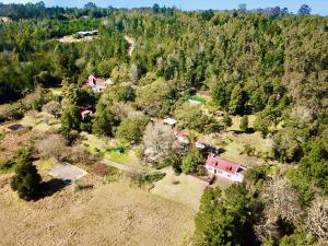 an aerial view of a house in a forest at Masescha Country Estate in Plettenberg Bay