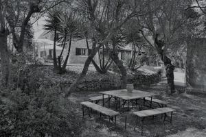 Kép 132 Finca Sa Rota de Son Ramon ETV9899 by Mallorca Charme szállásáról Llubíban a galériában