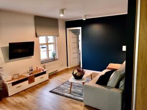 Televízia a/alebo spoločenská miestnosť v ubytovaní Apartament „Blue Forest”