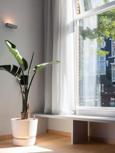 a potted plant sitting next to a window at Hotel 171 in Rotterdam