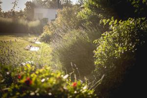 A garden outside La Fonte Di Montebuono
