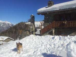 Affittacamere Saint Salod during the winter
