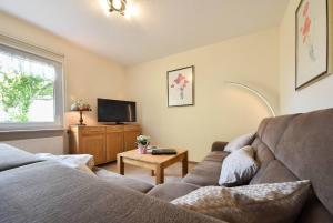a living room with a couch and a tv at Ferienhaus Inselnest in Pudagla