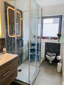 a bathroom with a shower and a toilet at Ferienwohnung Syltliebe in Wenningstedt