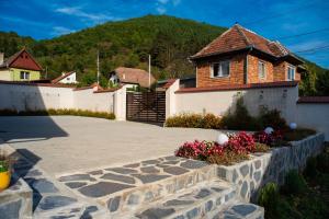 a house with a stone walkway in front of a house at Casa Ilies in Galeş