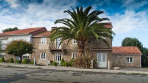 una palmera frente a una casa en Turismo Rural O Xastre de Anos en Cabana de Bergantiños