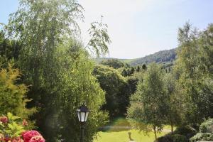 a view of a river with trees and a street light at Heather House in Laragh