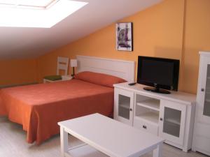 1 dormitorio con 1 cama y TV de pantalla plana en Apartamentos Turisticos de Hospedaje Don Diego, en Tomelloso