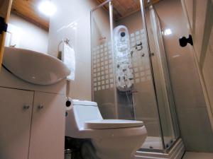 Koupelna v ubytování Hostal Plaza Maule