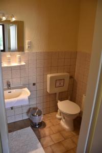 ein Badezimmer mit Toilette und Waschbecken in der Unterkunft Ferienwohnung Kleinmockritz in Döbeln + 8 Fotos