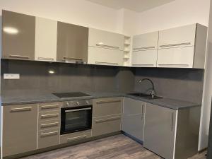 una cocina con electrodomésticos de acero inoxidable y armarios blancos en Boutique Apartments Liberec, en Liberec