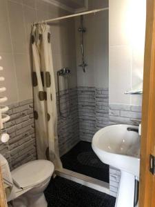 een badkamer met een douche, een toilet en een wastafel bij Kabanova Gora in Boekovel