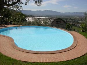 a large blue swimming pool in a grassy field at Agriturismo I Mandorli in Trevi