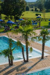 three palm trees in a swimming pool with umbrellas at Hotel Terme Leonardo in Abano Terme