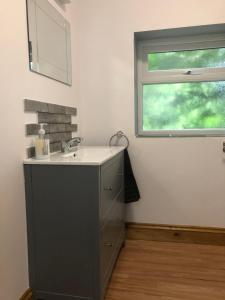 uma casa de banho com um lavatório e uma janela em Our Wendy House em Holsworthy