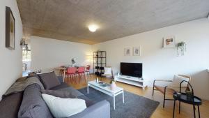 TV a/nebo společenská místnost v ubytování Bright and luminous 2-bedroom-flat in downtown