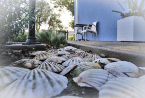Afbeelding uit fotogalerij van IL SOLE NEL MARE - Lido di Volano in Comacchio