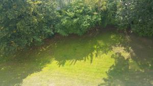 an overhead view of a green field with trees at Messeapartment WASHINGTON in Hannover +13 photos