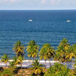 a group of palm trees on a beach with the ocean at Casa Toniatti 2 in Barra Grande +16 photos