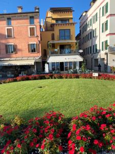 A garden outside Molino Apartments