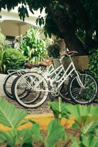 a bike parked in front of a garden at Casa Losodeli & Coworking- Adults Only in Puerto Escondido