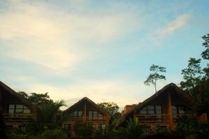 a view of the cottages at the resort at Axkan Palenque in Palenque