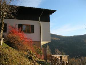 una casa al lado de una colina en Haus Ilse, en Bad Kleinkirchheim