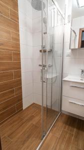 a bathroom with a shower and a sink at Rose Valley Apartment in Polanica-Zdrój