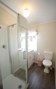 a bathroom with a shower and a toilet at Alpers Lodge & Conference Centre in Auckland