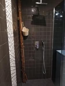 a bathroom with a shower with a pole in it at Maison Small Luxury ( planxa,suite,solarium,jacuzzi,pas de vis à vis) in Argelès-sur-Mer +34 photos
