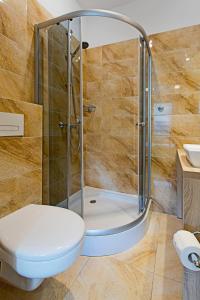 グディニャにあるOlkuska 107 Aのバスルーム(シャワー、トイレ、洗面台付)