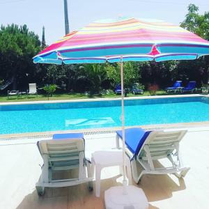 a table and two chairs and an umbrella next to a swimming pool at Green House Boğaziçi-Dodo House in Bogazici