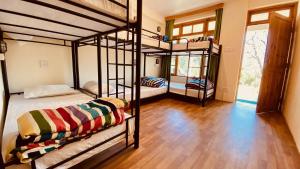 Katil atau katil-katil dalam bilik di Madpackers Manali